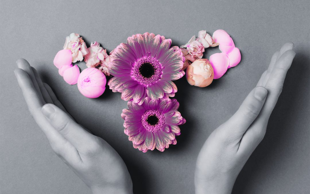 From Menarche to Menopause